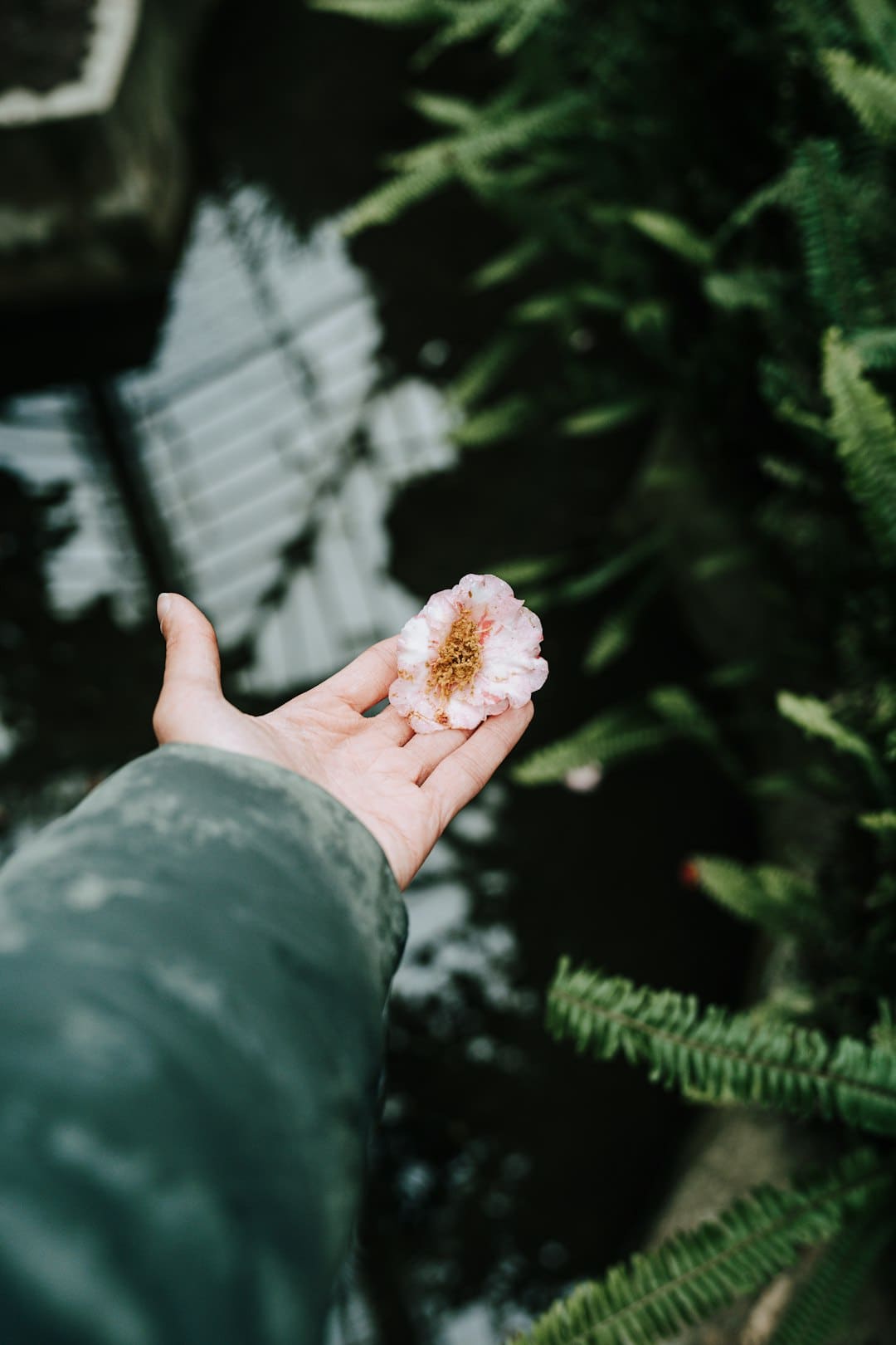 以更优标准助力产业提质——市场监管总局详解先进制造领域标准体系建设成效